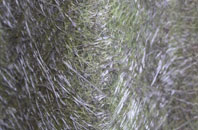 Cadoxton Juxta Neath fibreglass roof work